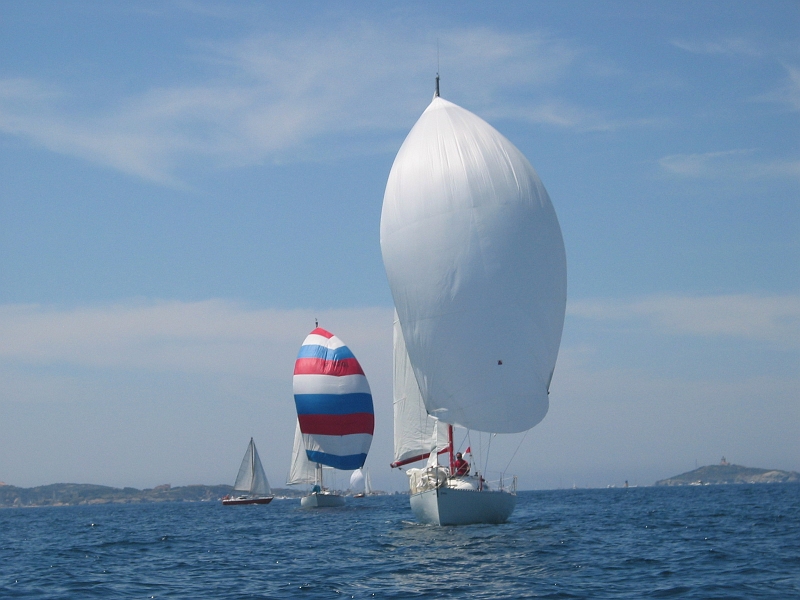 la solitaire 111.jpg